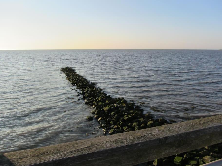 Nordsee Und Natur. Gemuetliche Fewo Mit Deichblick Dorumer Neufeld Exterior foto