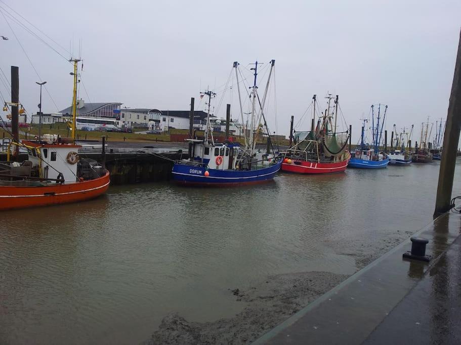Nordsee Und Natur. Gemuetliche Fewo Mit Deichblick Dorumer Neufeld Exterior foto